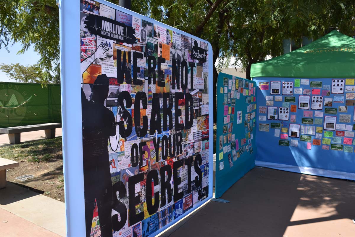 Mental Health Fair Exhibit and Participants