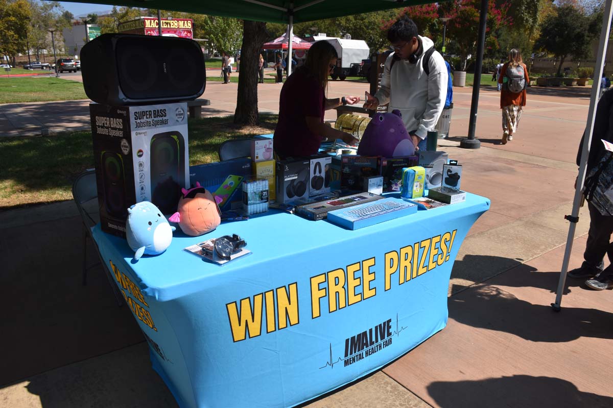 Mental Health Fair Exhibit and Participants