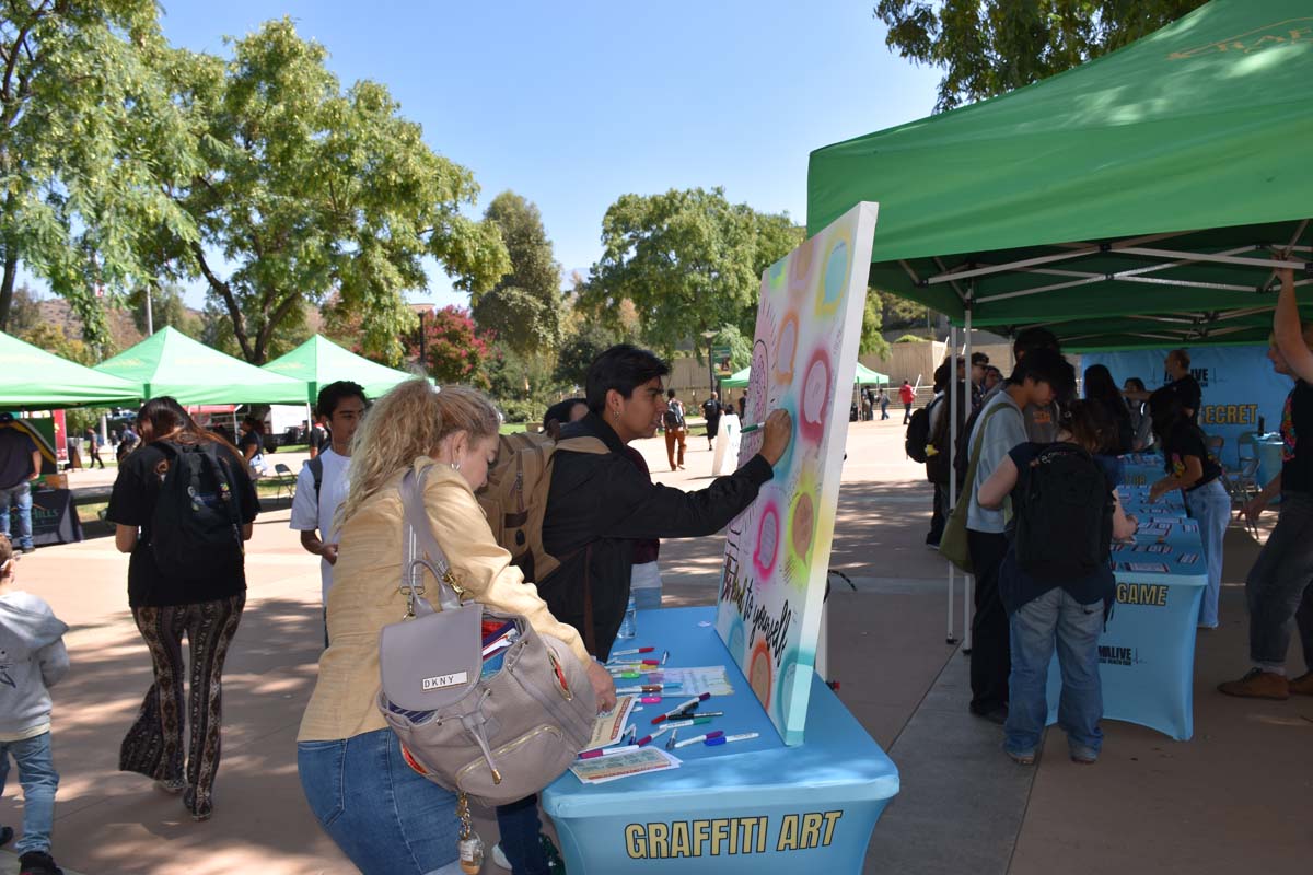 Mental Health Fair Exhibit and Participants