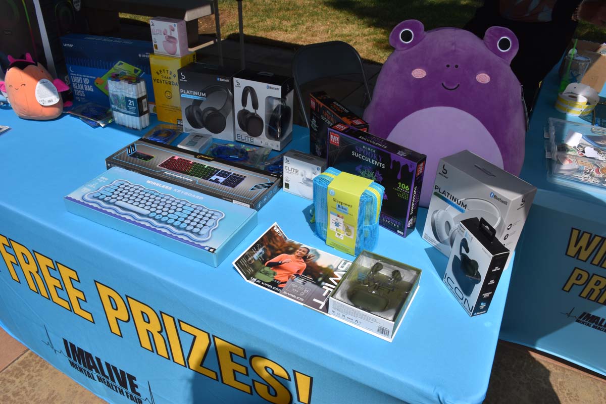 Mental Health Fair Exhibit and Participants