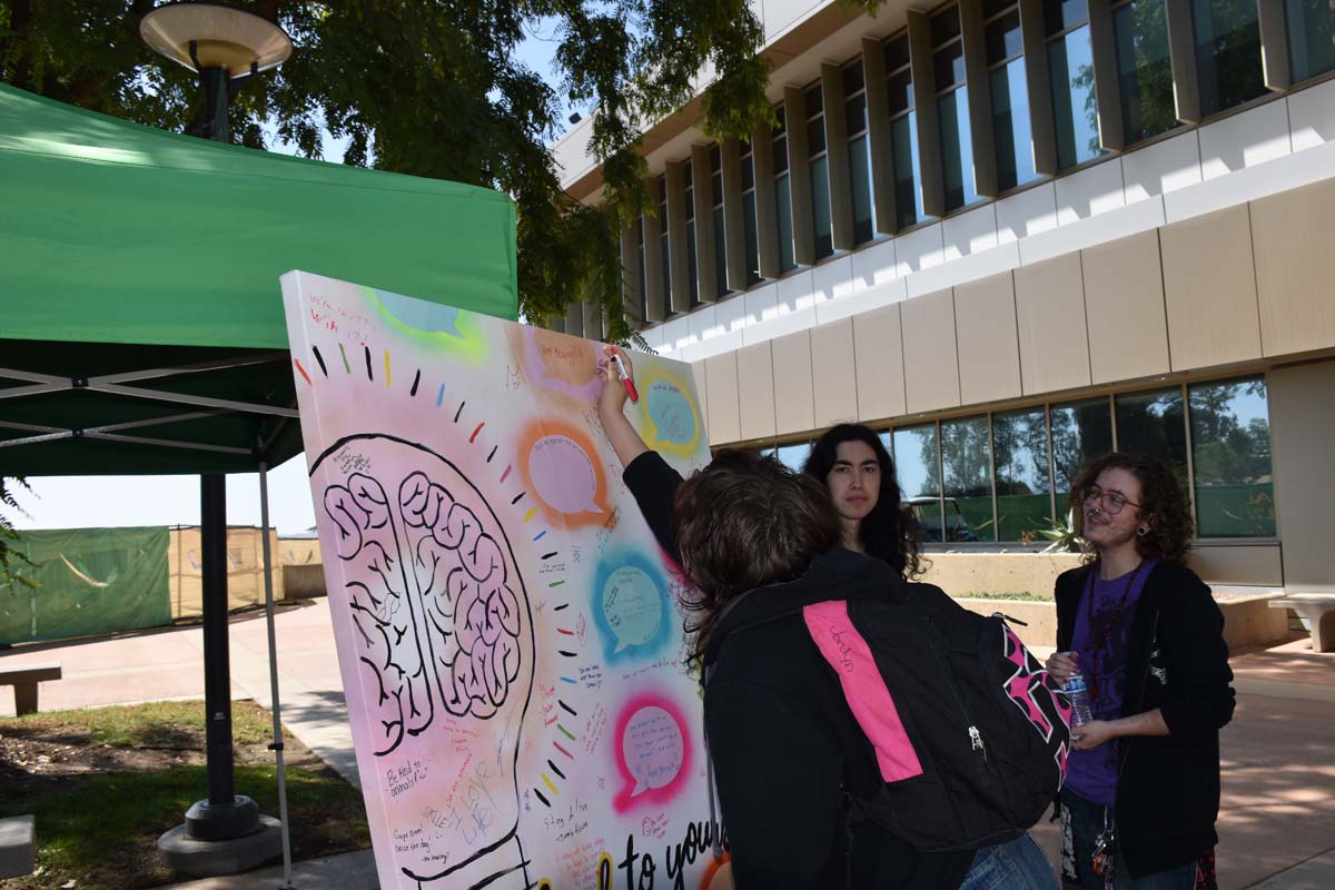 Mental Health Fair Exhibit and Participants