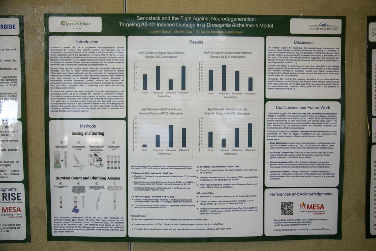 MESA Research Symposium Participant