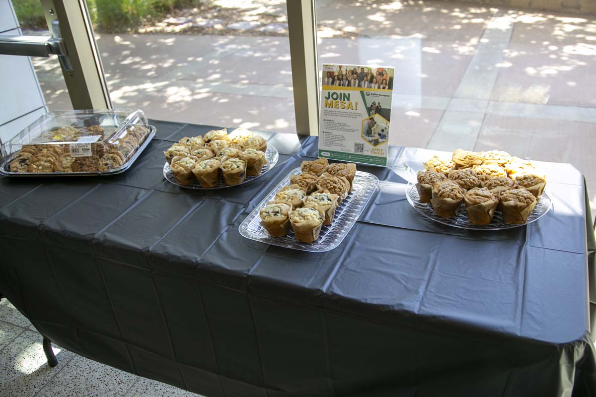 MESA Research Symposium Participant