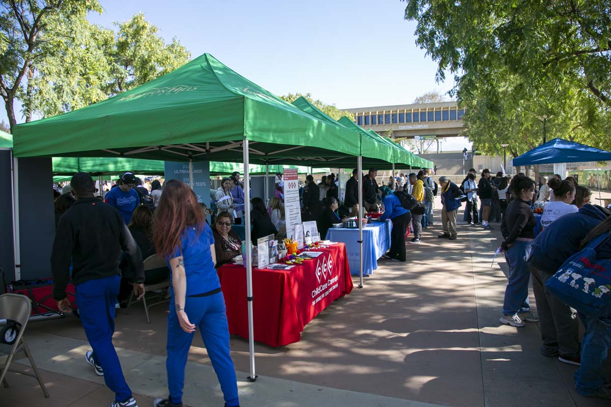 Hello Major, Hello Career Fair.