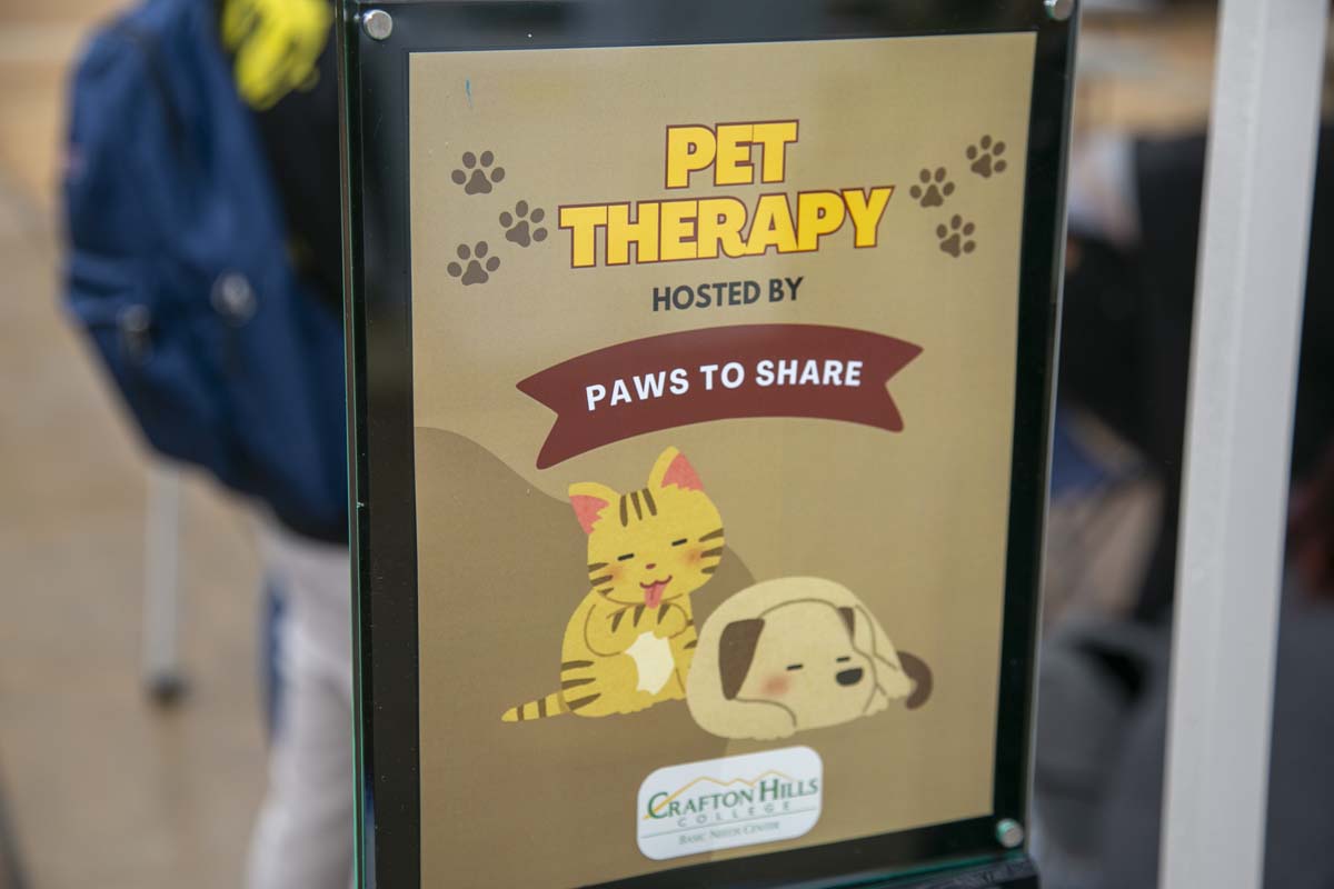 CHC students attend Thrive Fest.