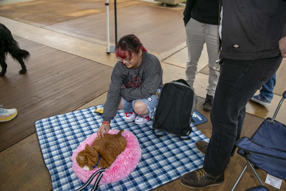 CHC students attend Thrive Fest.