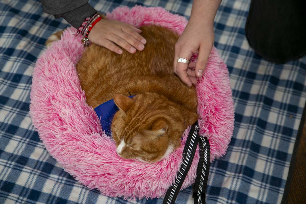 CHC students attend Thrive Fest.