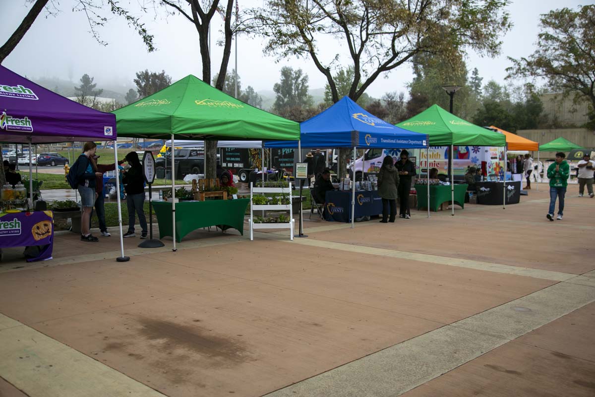 CHC students attend Thrive Fest.