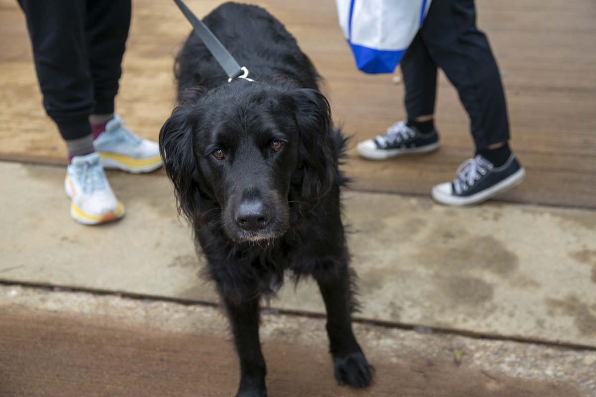 CHC students attend Thrive Fest.