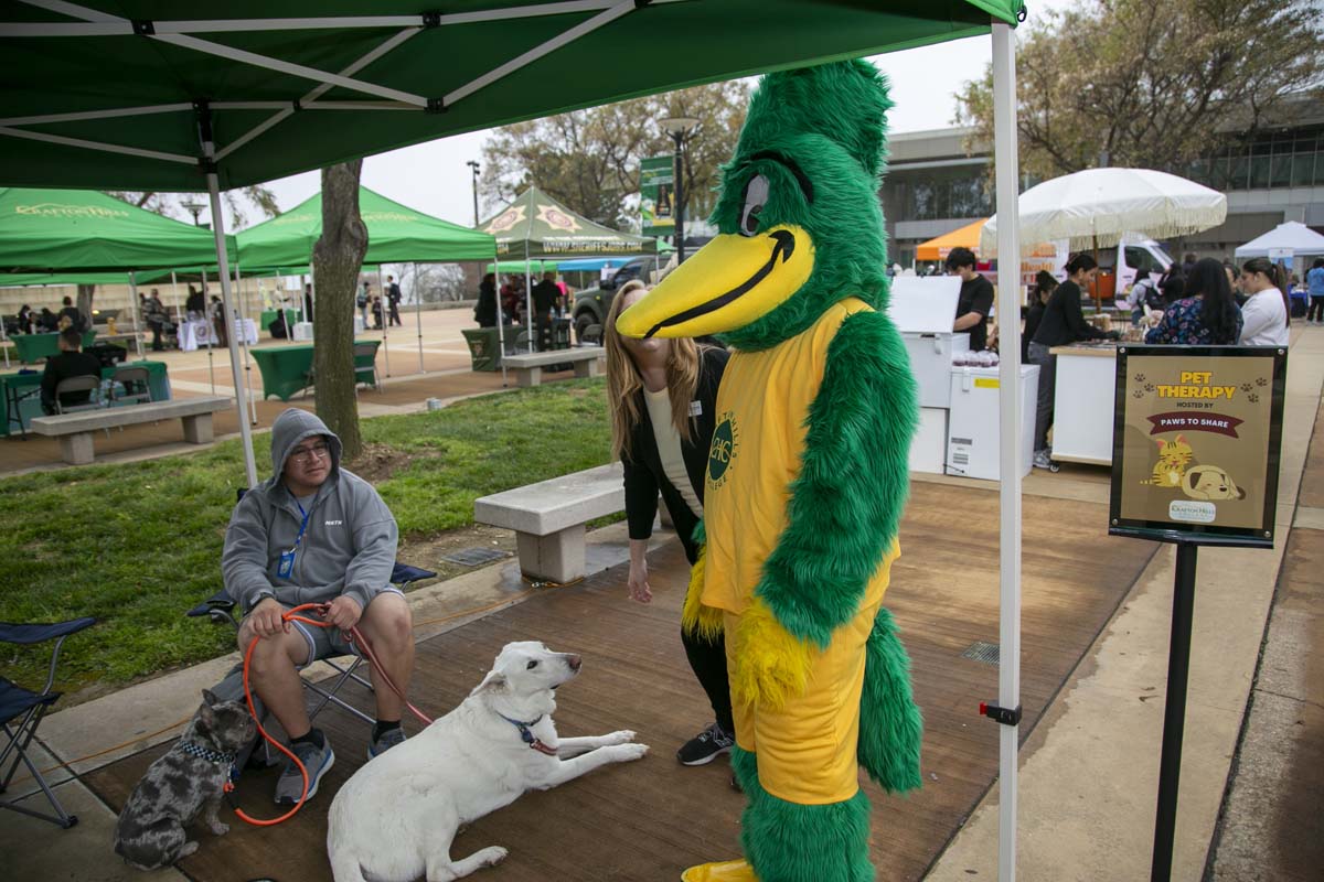 CHC students attend Thrive Fest.