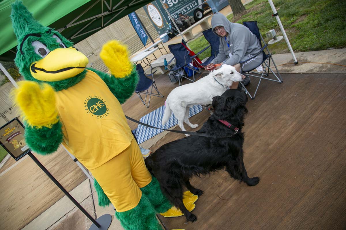 CHC students attend Thrive Fest.