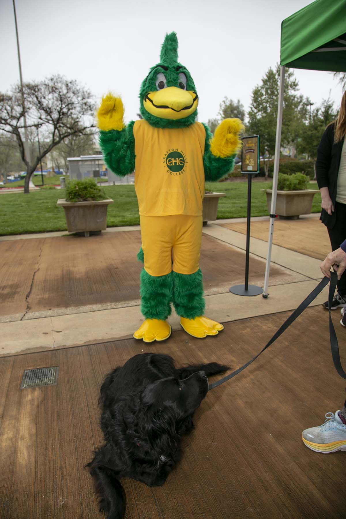 CHC students attend Thrive Fest.