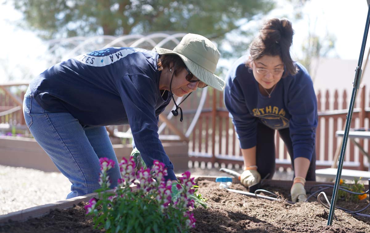 Students attend the planting party at the CHC garden.