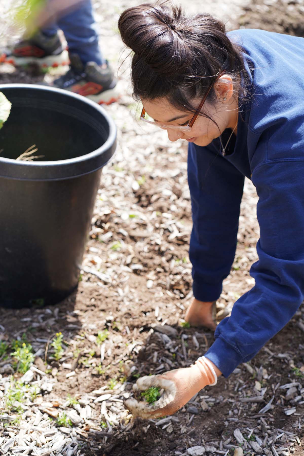 Students attend the planting party at the CHC garden.