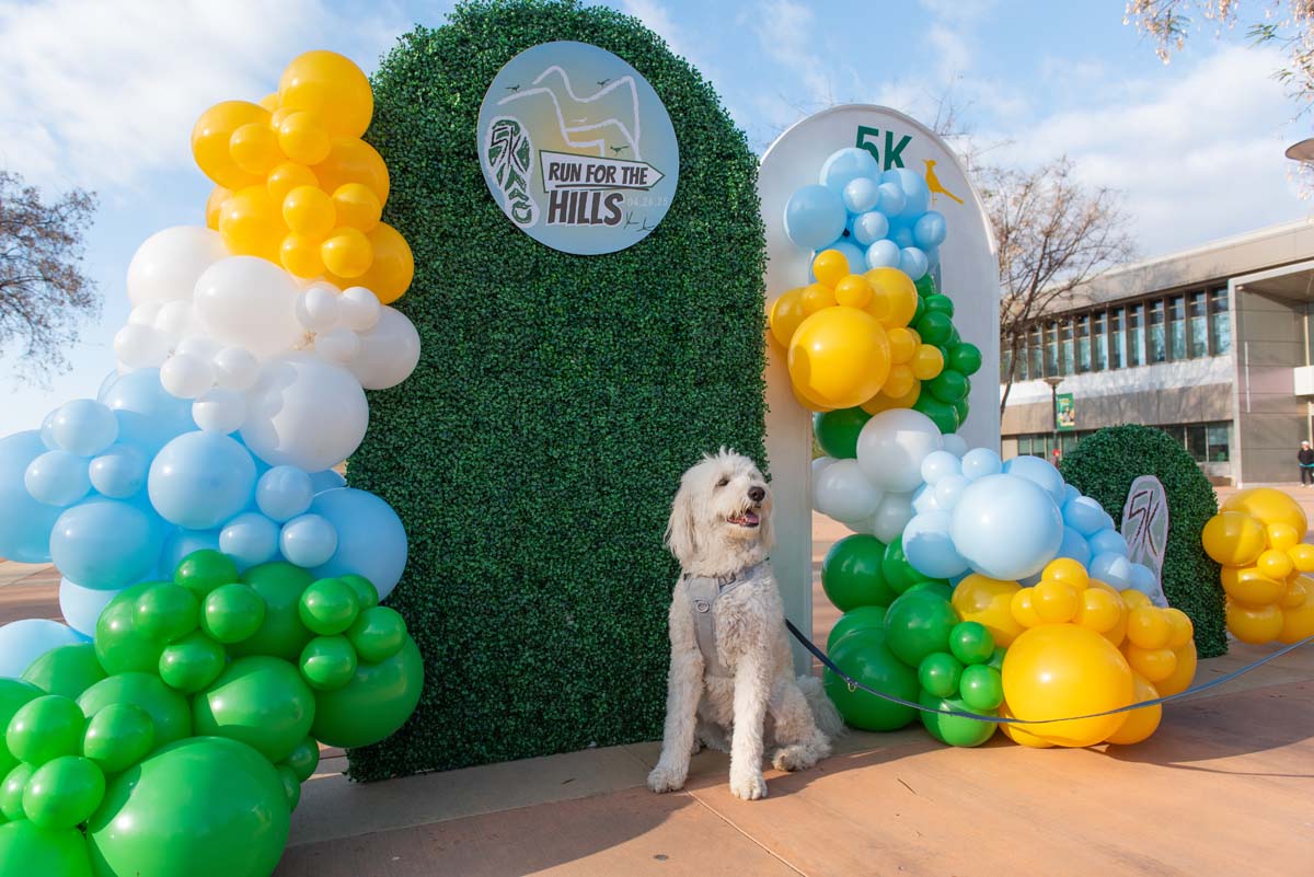 This is a sample image caption.