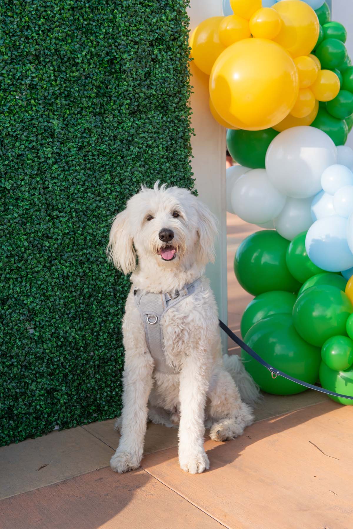 This is a sample image caption.