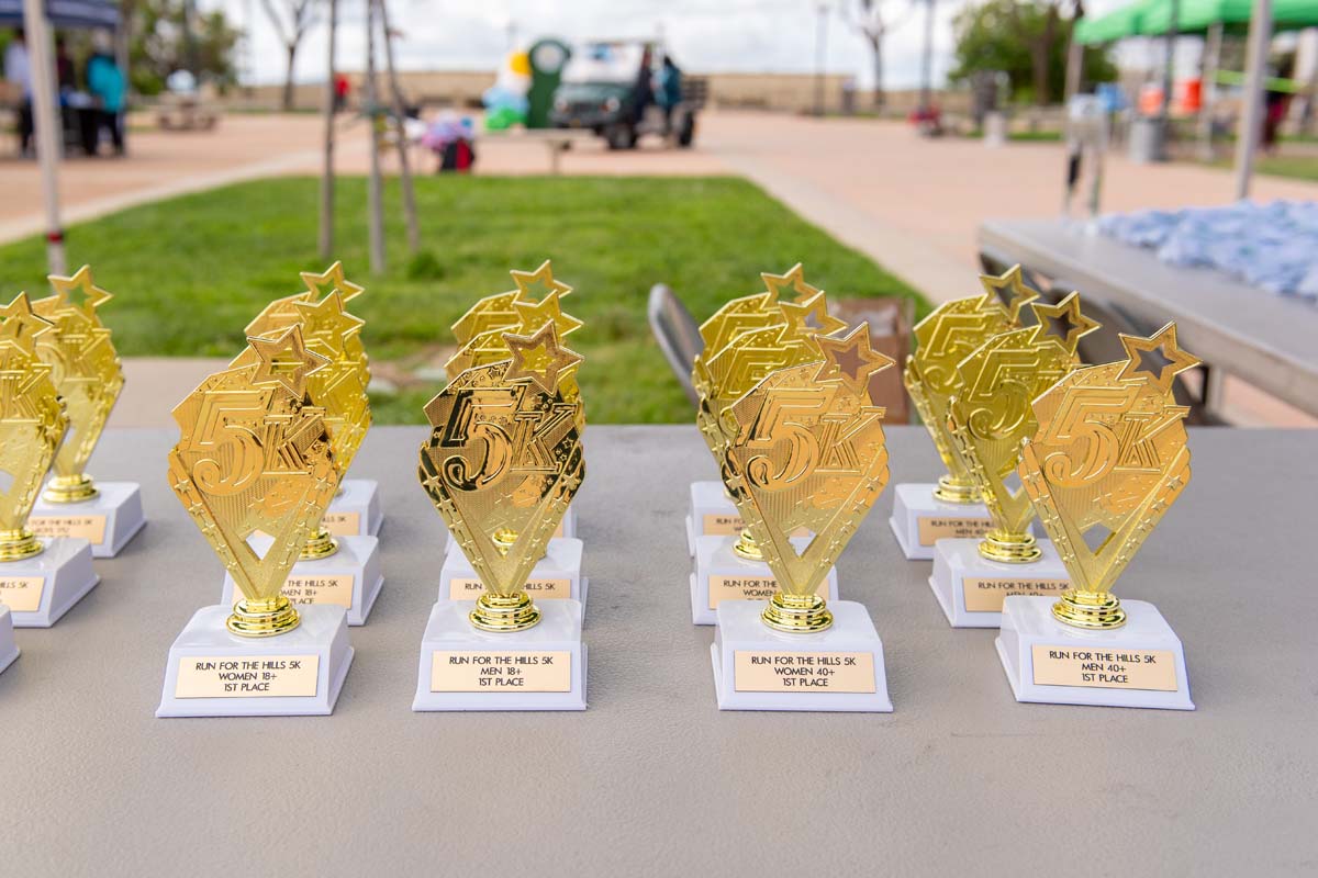 This is a sample image caption.