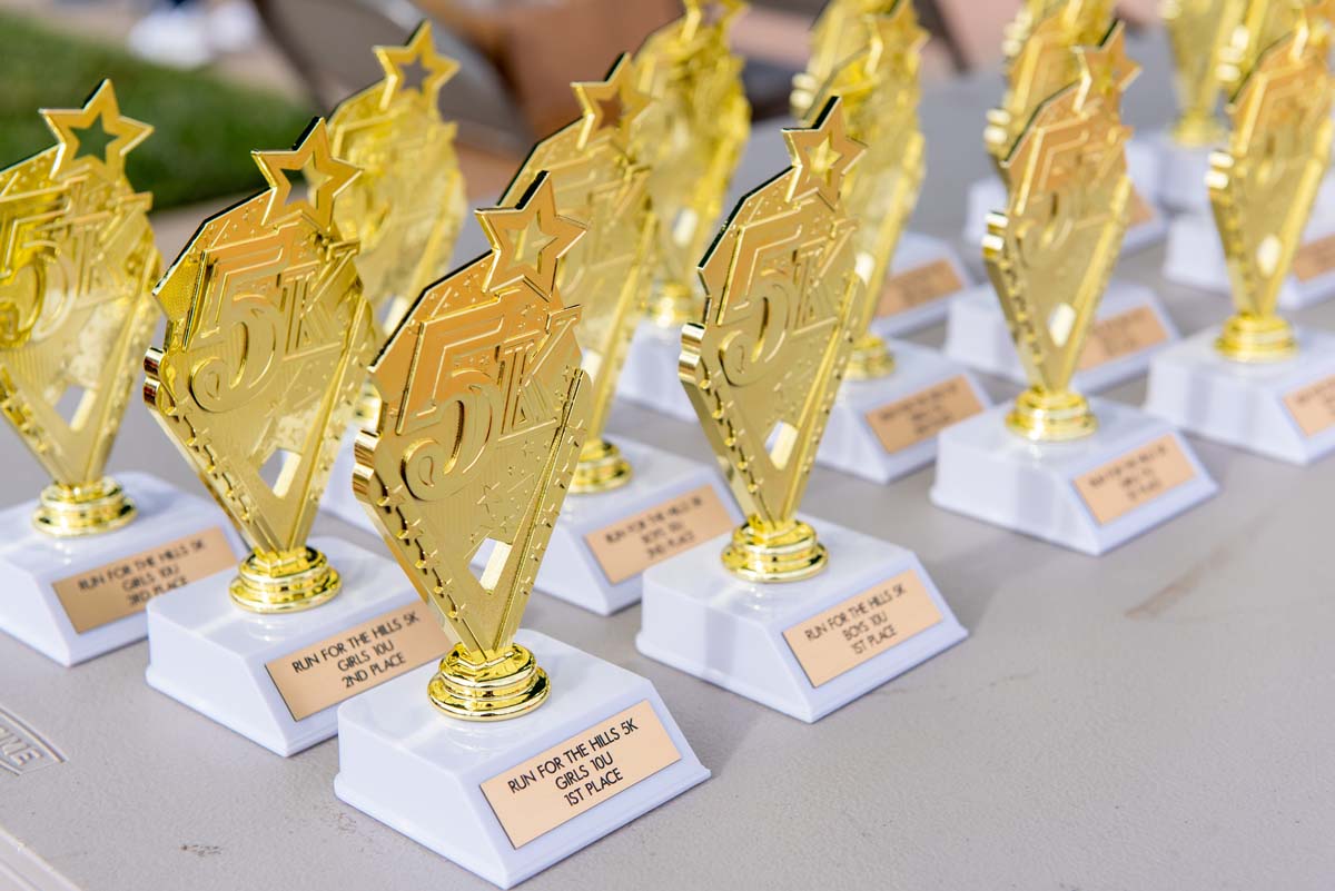 This is a sample image caption.