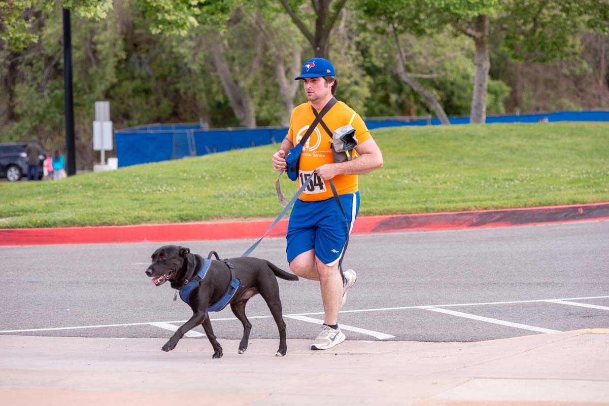 This is a sample image caption.