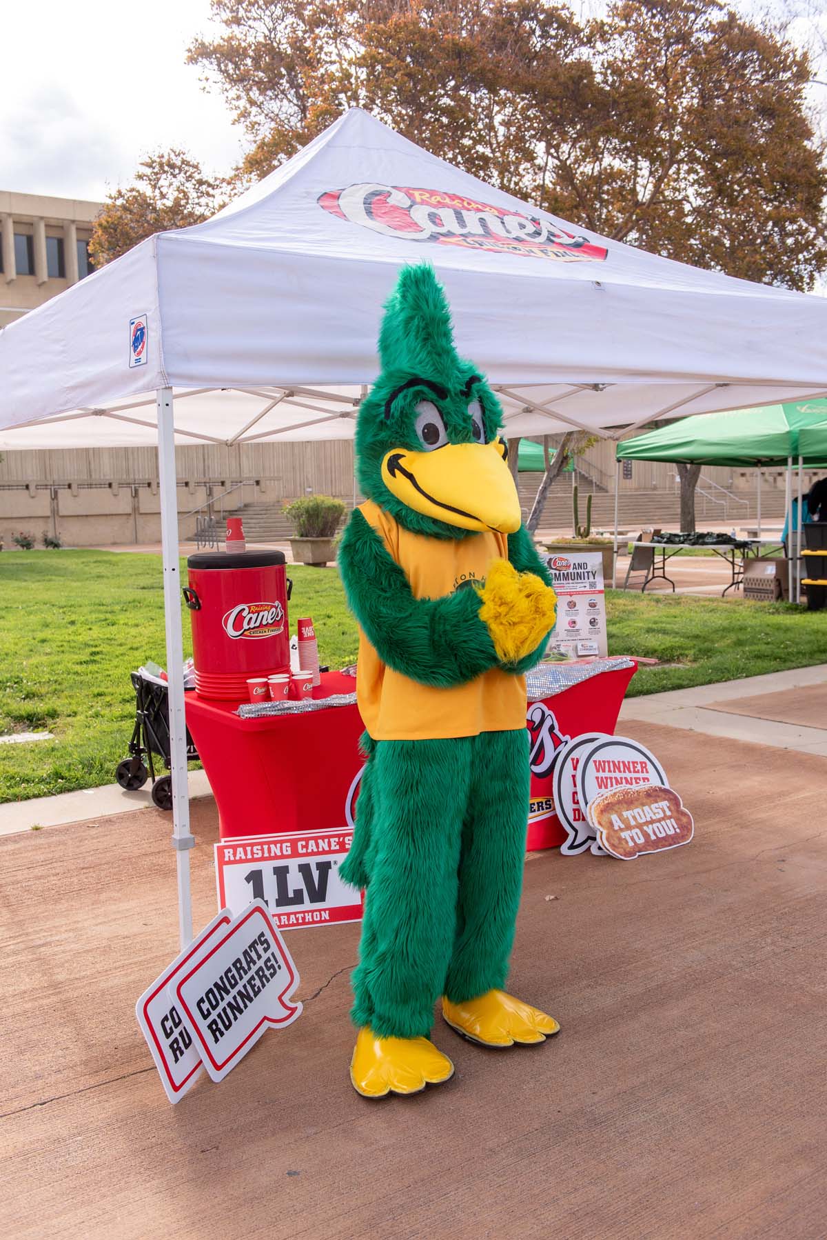 This is a sample image caption.