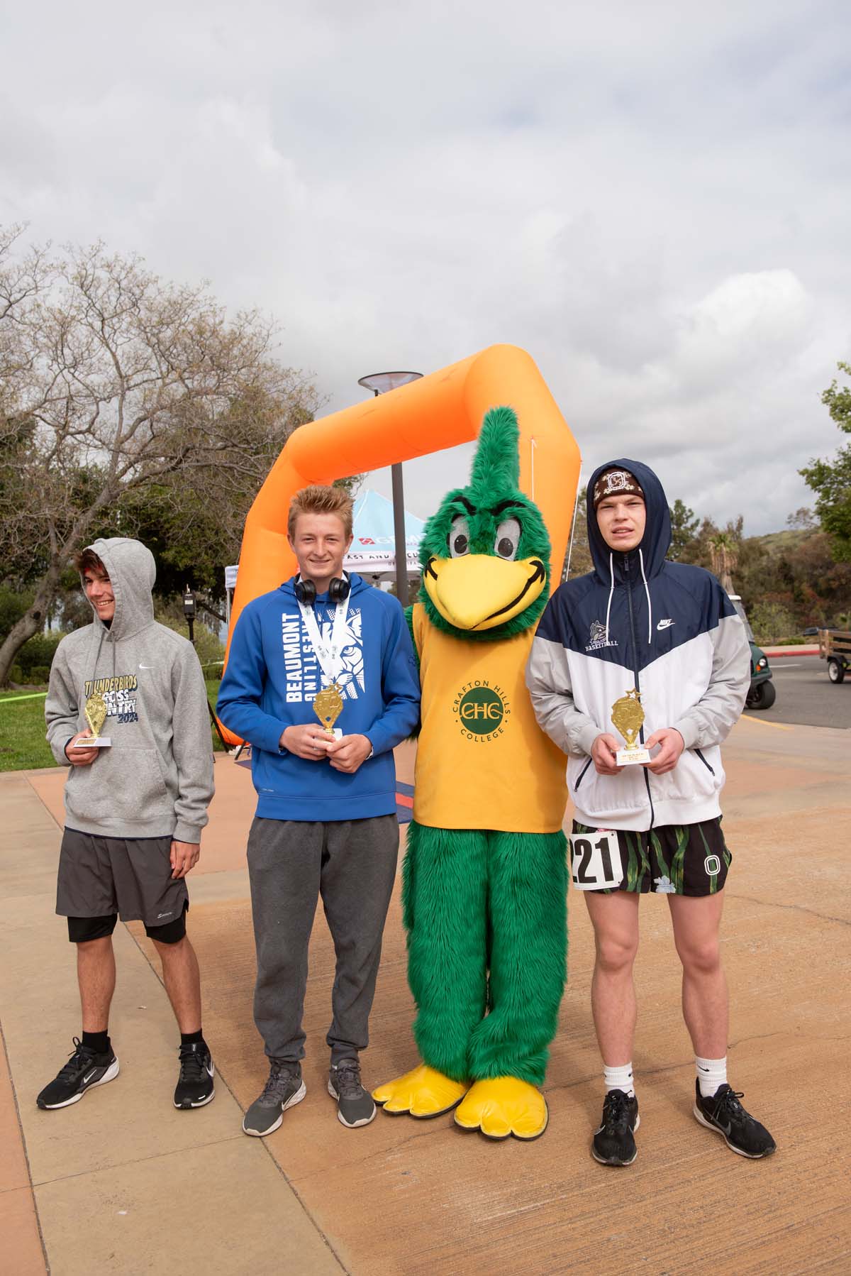 This is a sample image caption.