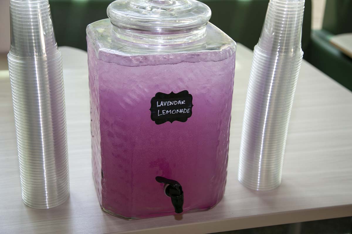 Students attend the CHC Lavender Grad Luncheon.