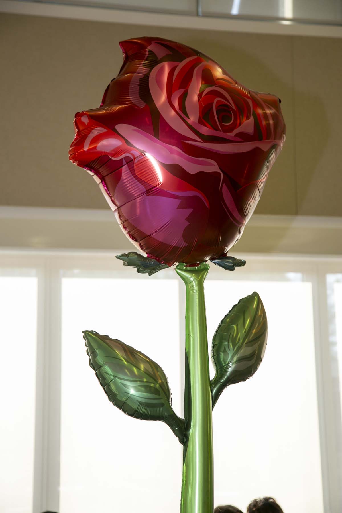 CHC Students recognized at Honors Ceremony.