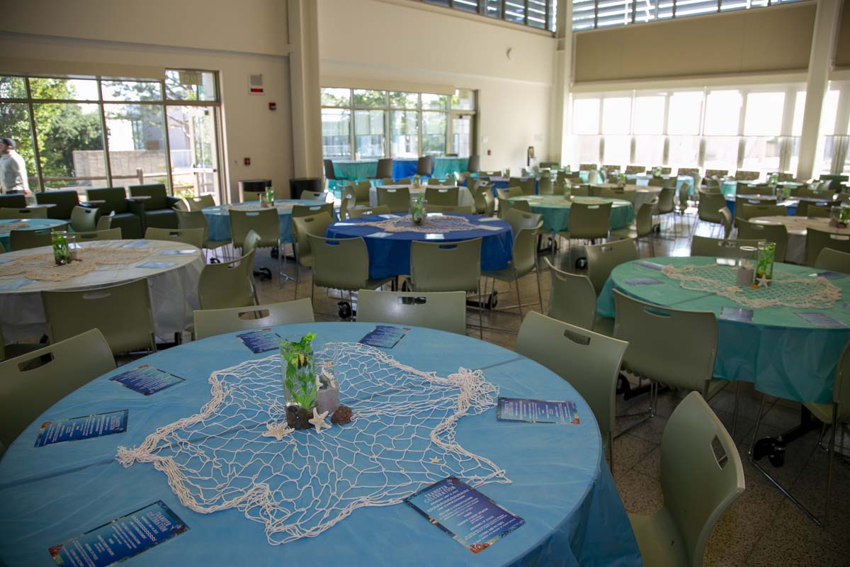 Transfer students atttend a Transfer Celebration at CHC.