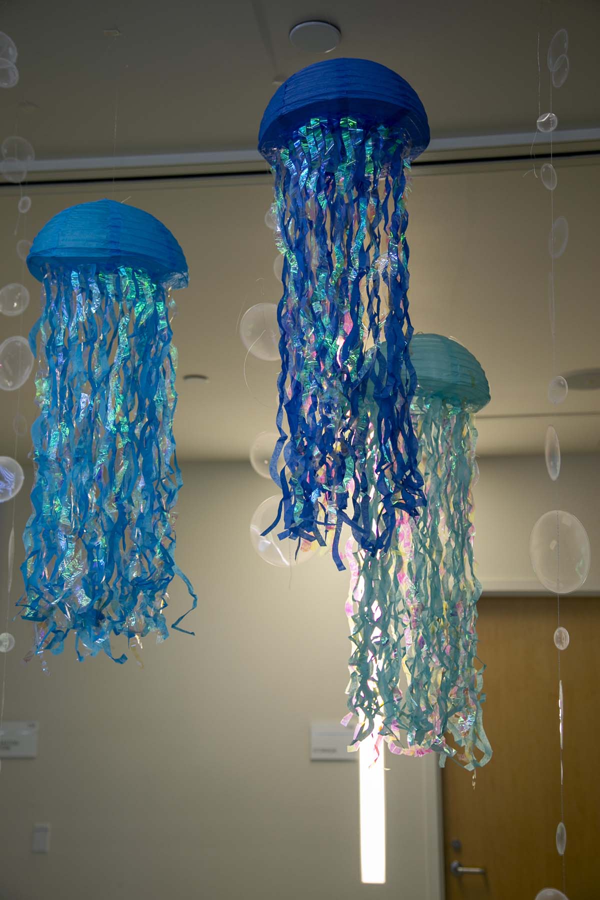 Transfer students atttend a Transfer Celebration at CHC.