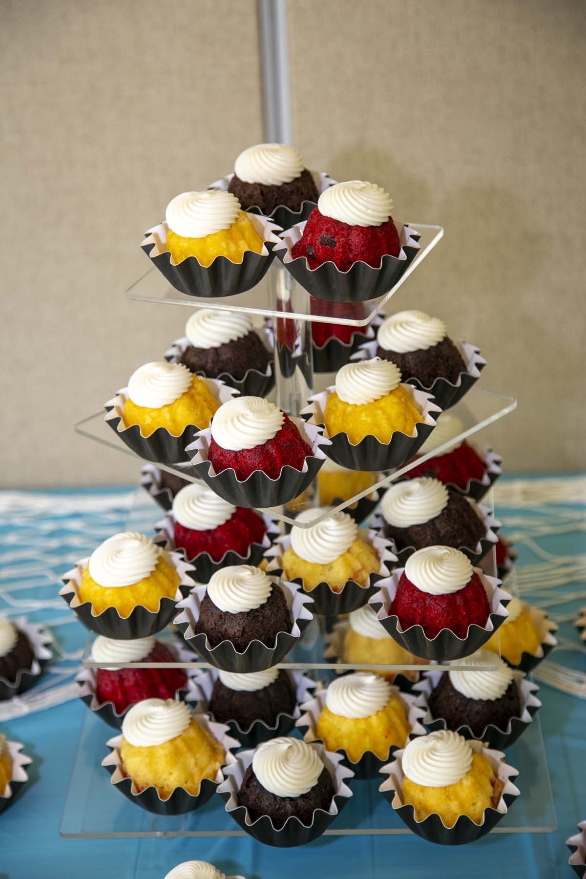 Transfer students atttend a Transfer Celebration at CHC.