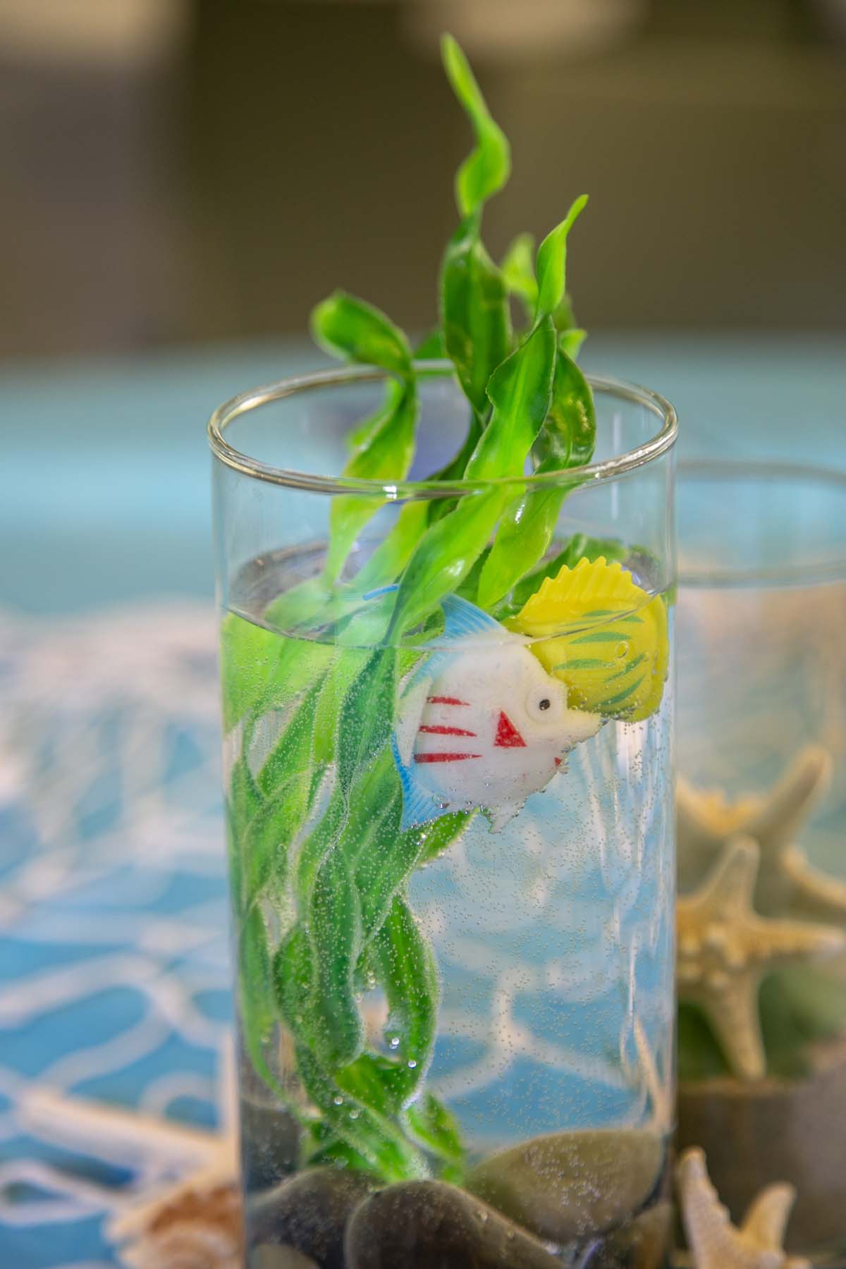 Transfer students atttend a Transfer Celebration at CHC.