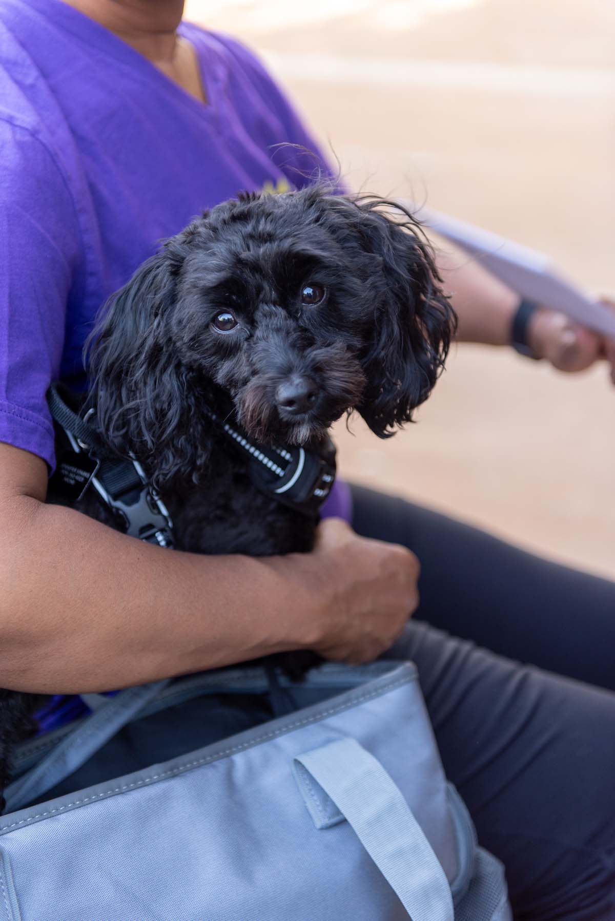 Faculty line up at CHC Commencement.
