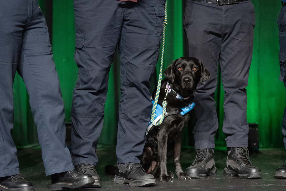 EMT grads are celebrated at graduation ceremony.