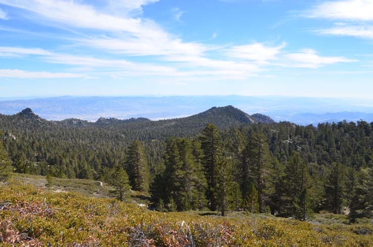 Mt. San Jacinto Hike