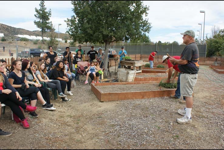 How the Crafton Community Garden Grows