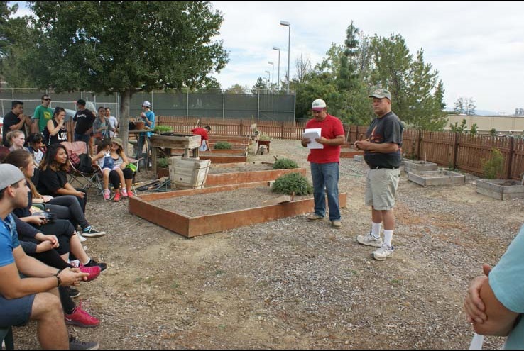 How the Crafton Community Garden Grows