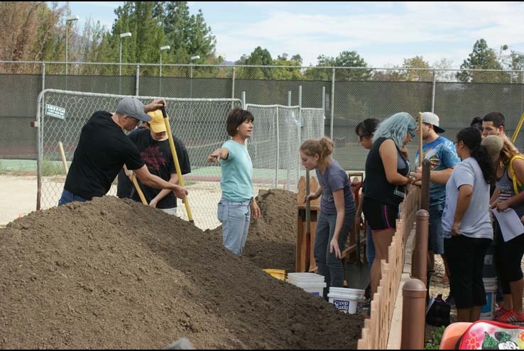 How the Crafton Community Garden Grows