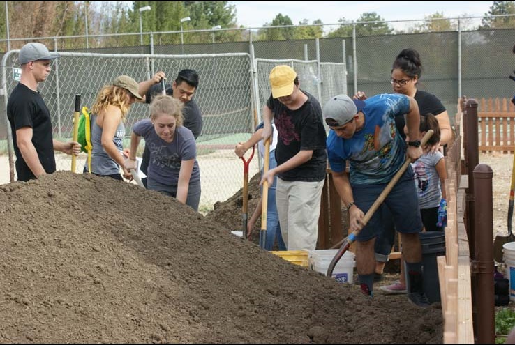 How the Crafton Community Garden Grows