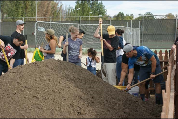 How the Crafton Community Garden Grows