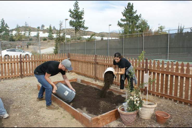 How the Crafton Community Garden Grows