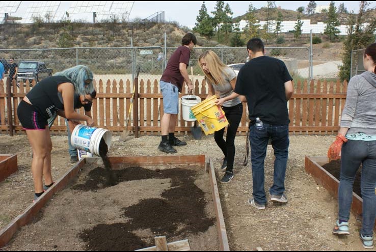 How the Crafton Community Garden Grows