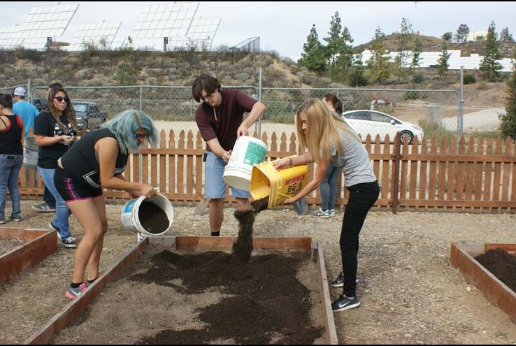 How the Crafton Community Garden Grows