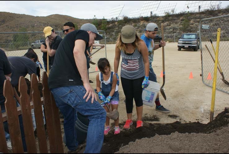 How the Crafton Community Garden Grows