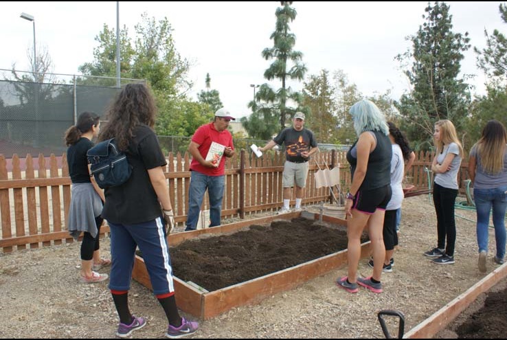 How the Crafton Community Garden Grows