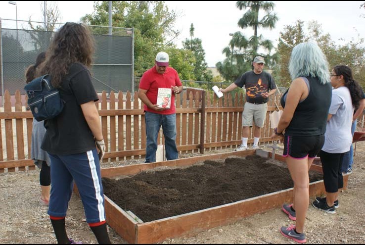 How the Crafton Community Garden Grows