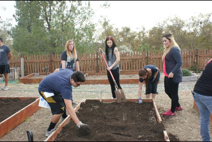 How the Crafton Community Garden Grows