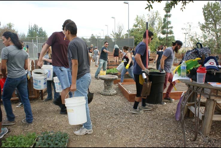 How the Crafton Community Garden Grows