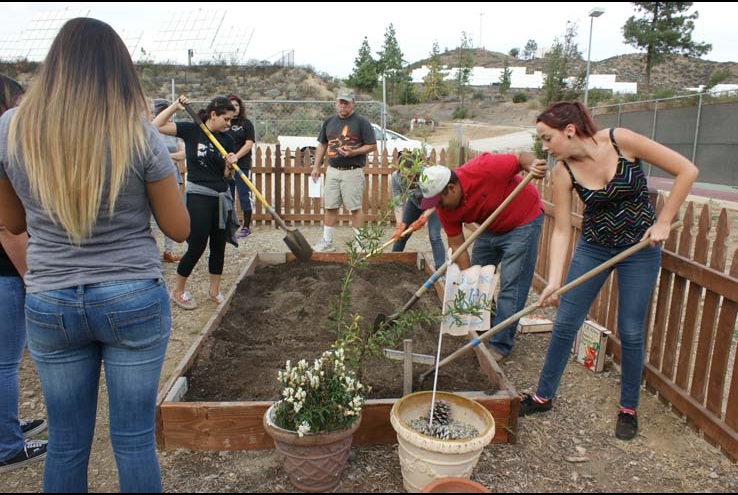 How the Crafton Community Garden Grows