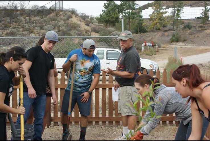 How the Crafton Community Garden Grows