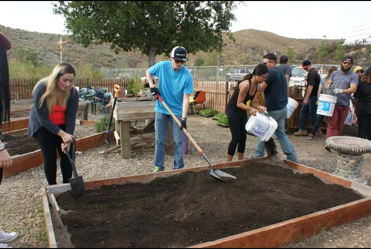 How the Crafton Community Garden Grows